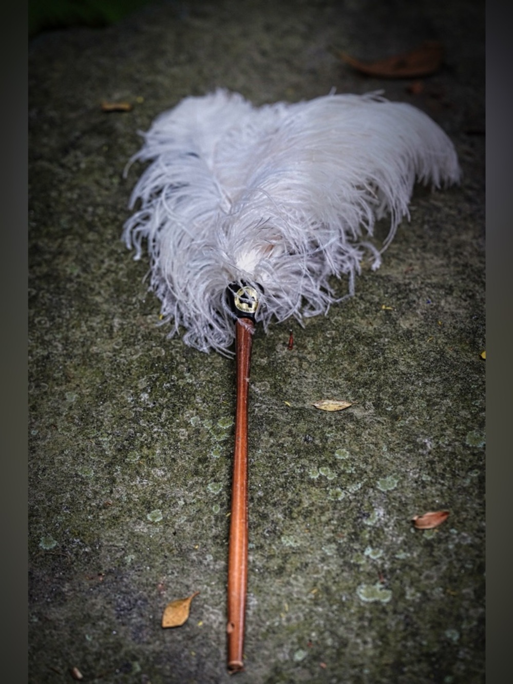 Vintage Texas Feathers White Ostrich Feather Plume - Natural Wood Handle